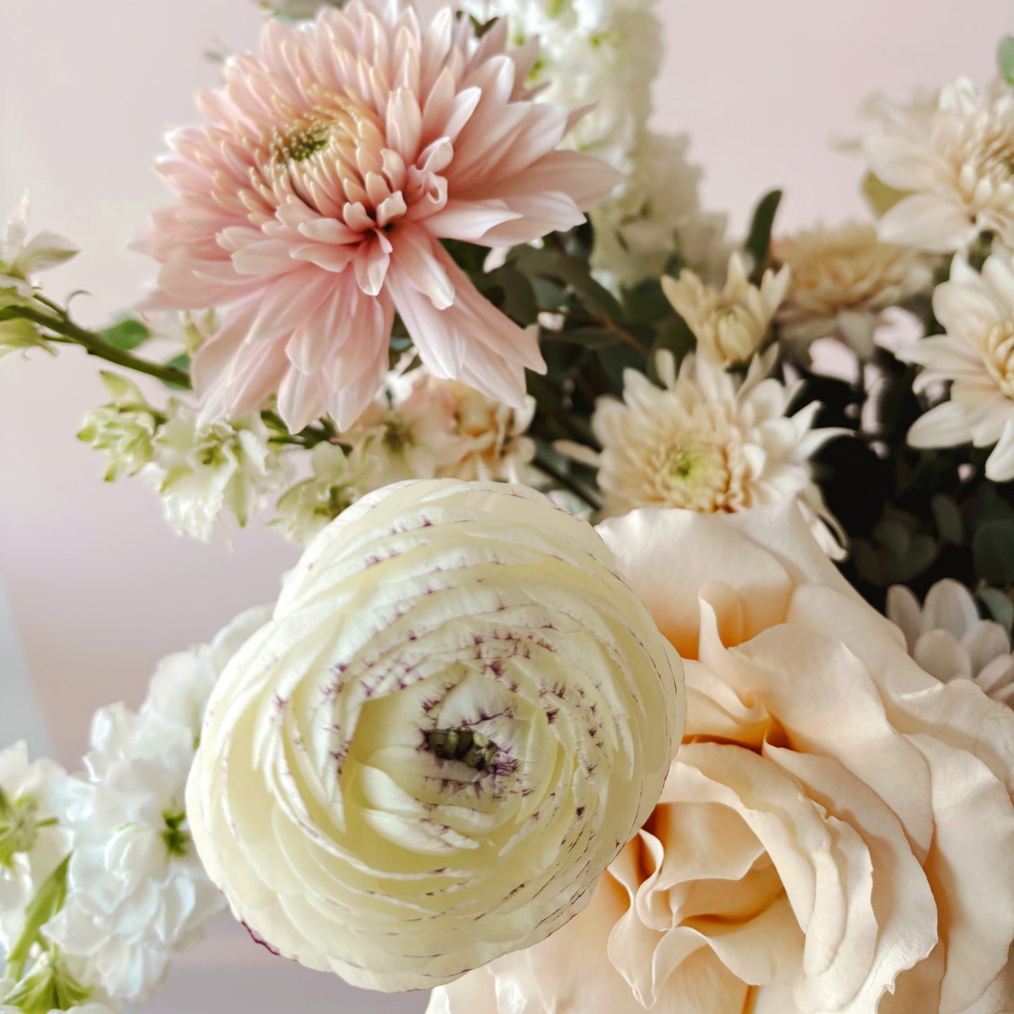 a close up of a ranunculus flower. Flower Delivery Spring Hill Tennessee