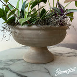 tropical pedestal garden bowl for delivery in columbia tn - plant shop columbia tennessee