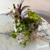 Giraffe tropical dish garden