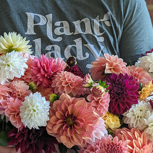 All About Dahlias Workshop in Columbia, Tennessee - image shows a close up of a person holding dahlia flowers in different pastel colors.