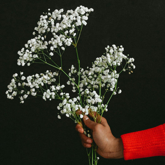 Dispelling the baby's breath wedding flower myth