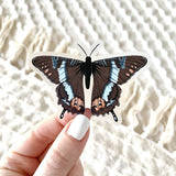 Clear Brown Swallowtail Butterfly Sticker, 3x2in