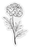 October Birth Month Flower: Marigold Sticker, 2x3.5in.