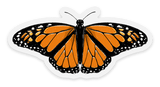 Clear Monarch Butterfly Sticker, 3x1.5 in.