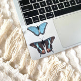 Clear Brown Swallowtail Butterfly Sticker, 3x2in