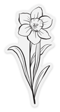 December Birth Month Flower: Narcissus Sticker, 1.7x3.5in.