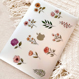 Clear Anemone Sticker 2.25x1.5in