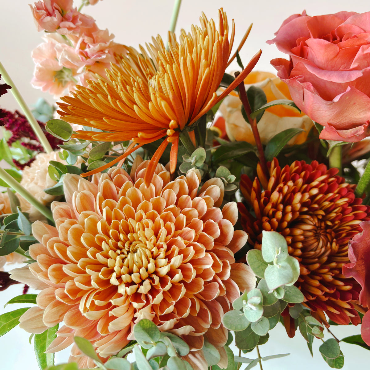 A detail image of fall colored mums and roses