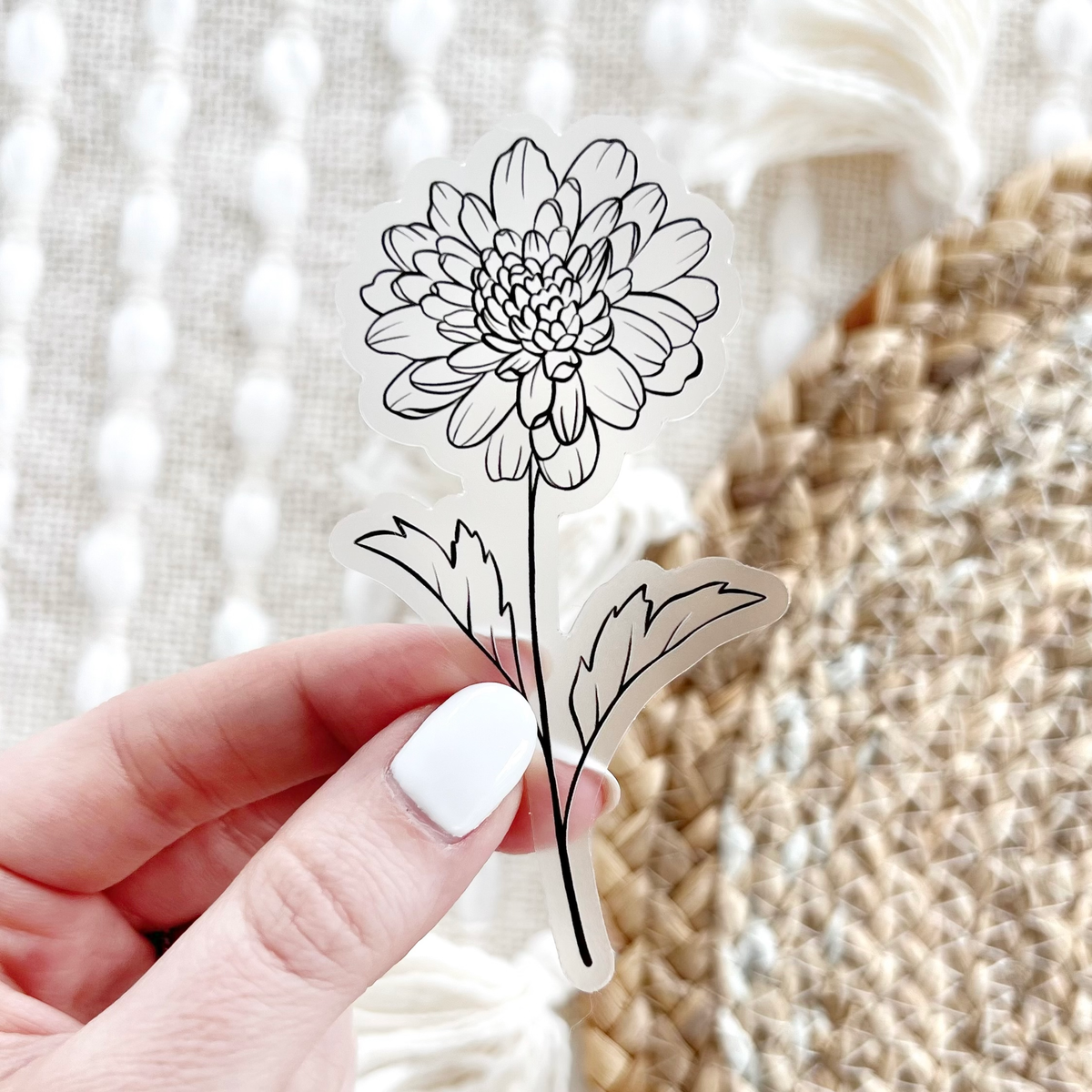 November Birth Month Flower: Chrysanthemum, 1.8x3.5in.
