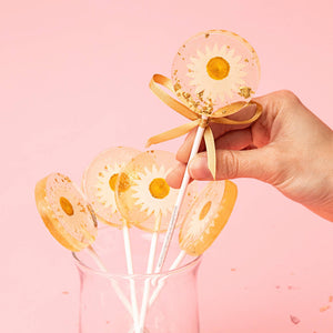 Daisy and Gold Lollipop - Mandarin Orange