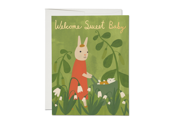 Sweet Bunny baby greeting card