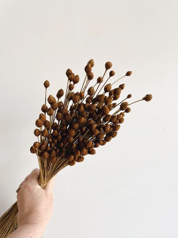 Dried Pimentina Bunch
